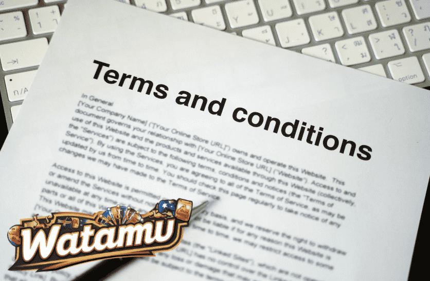 online-pokies-terms-&-conditions-img