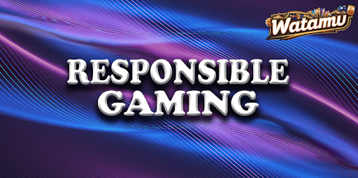 onlinepokiesaustralia-responsible-gaming-banner-img